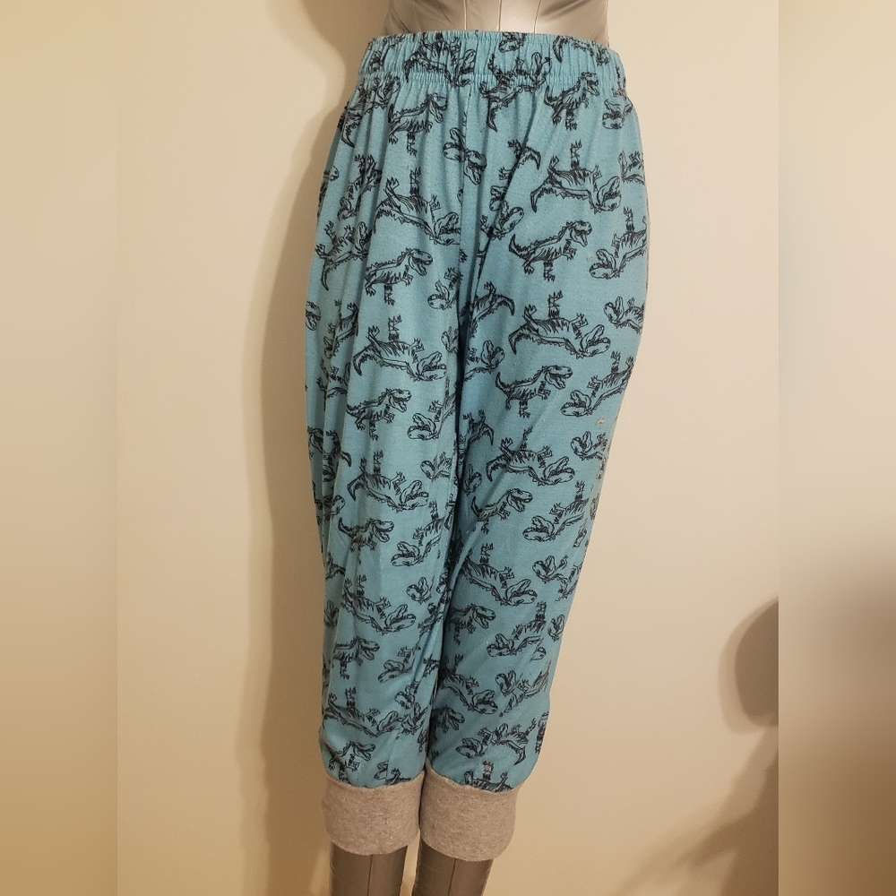 Dinosaur pajamas or leggings